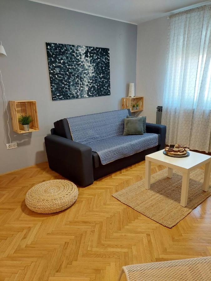 Апартаменты Apartman Hana Дрежник Град Экстерьер фото